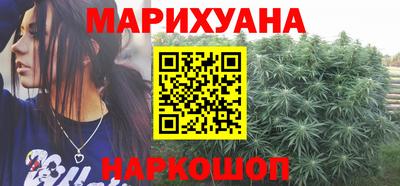 сатива Кунгур